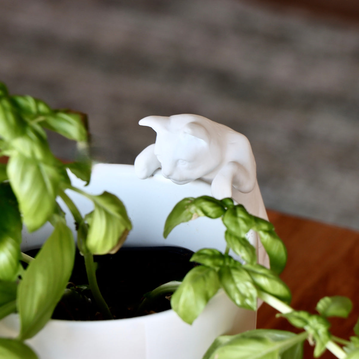 Plant Hanging Porcelain Cat - Holistic Habitat 