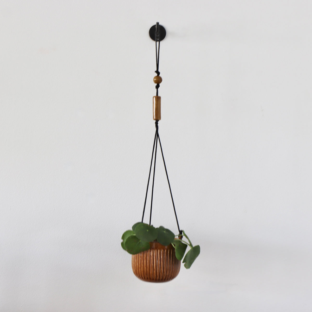 Andre Wall Hanging Planter with Squiggle Hook - Holistic Habitat 
