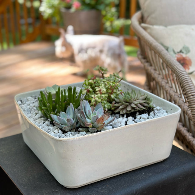 Valli Square Stoneware Planter - Holistic Habitat 