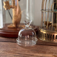 Mini Bird Cloche - Holistic Habitat 