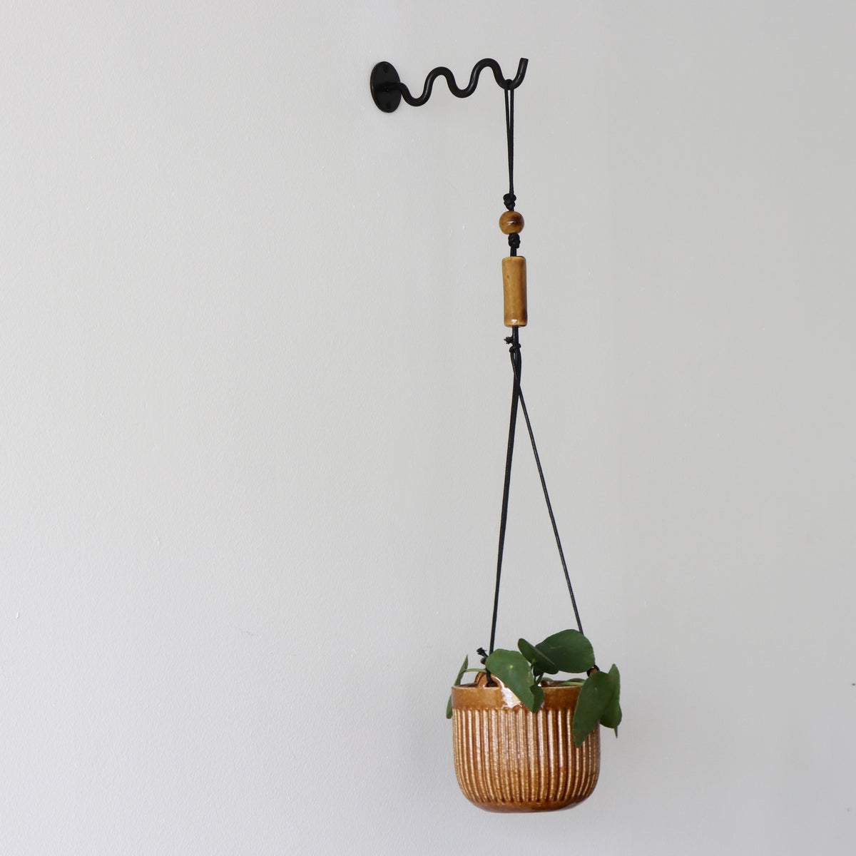 Andre Wall Hanging Planter with Squiggle Hook - Holistic Habitat 