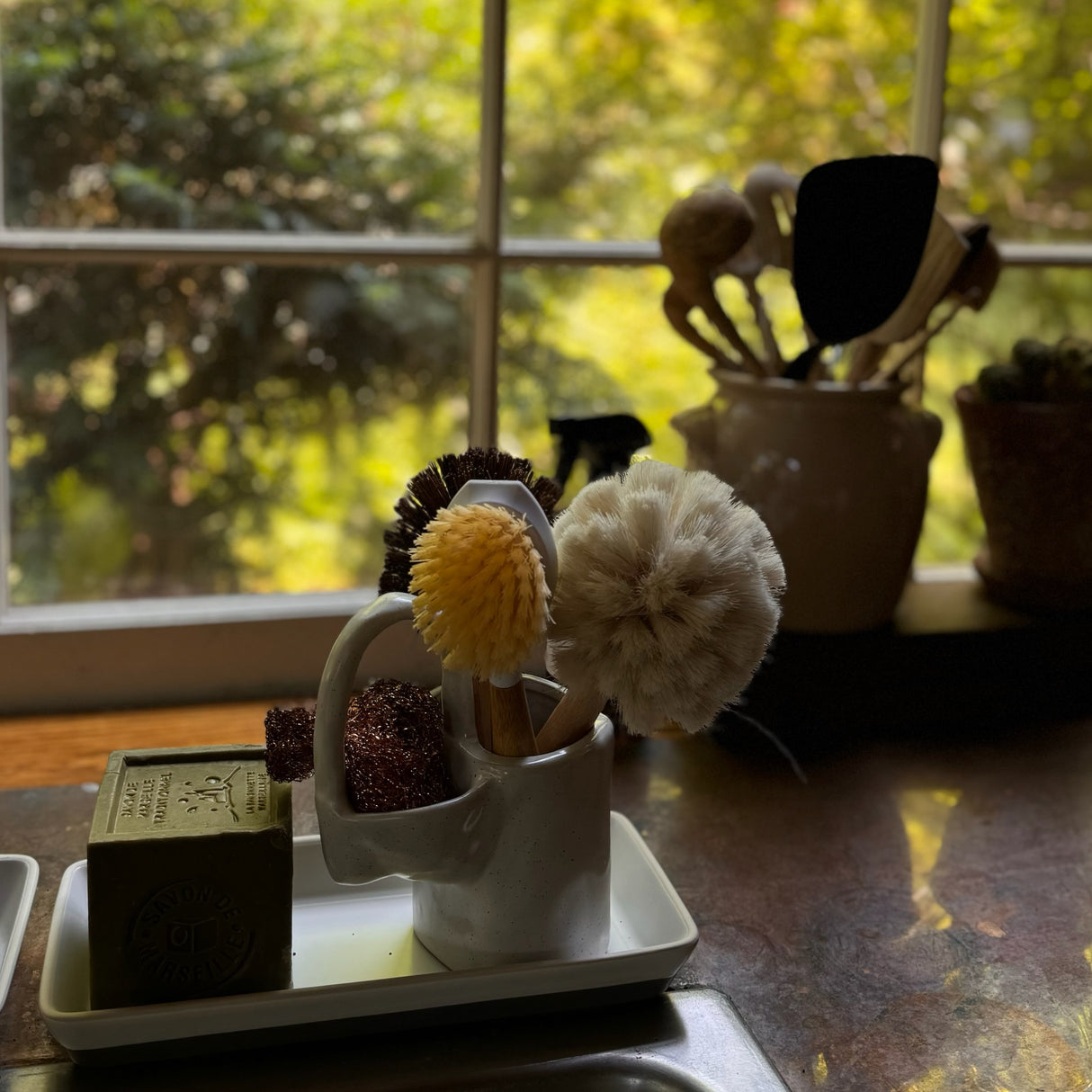 Natural Dish Brush   HorseHair