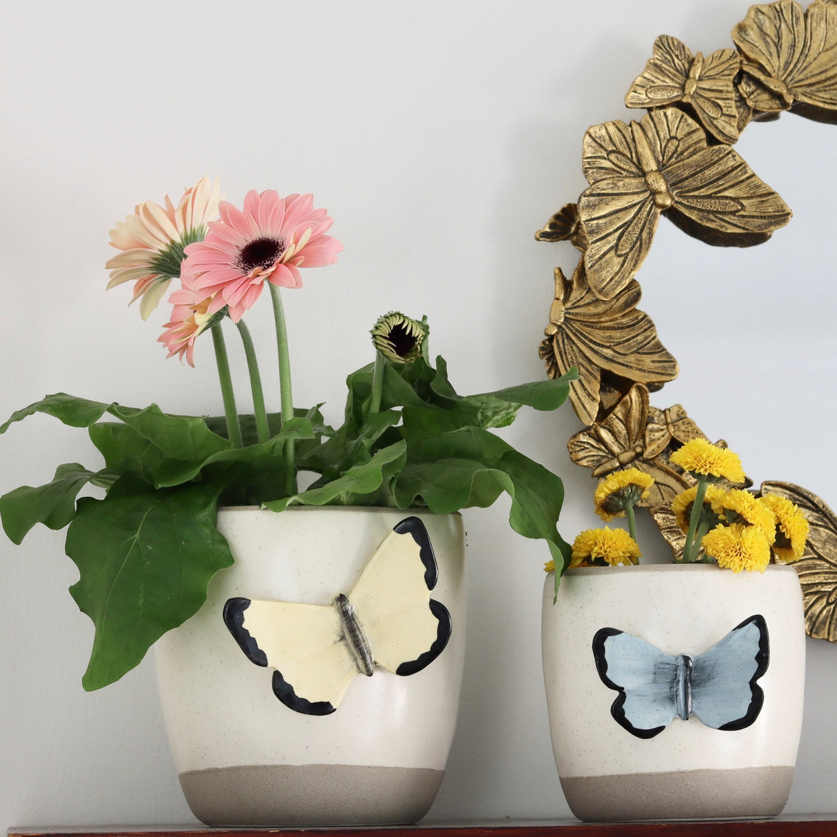 Periwinkle Flutterby Planter - Holistic Habitat 