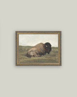 Resting Bison Framed Antique Art: 7x5