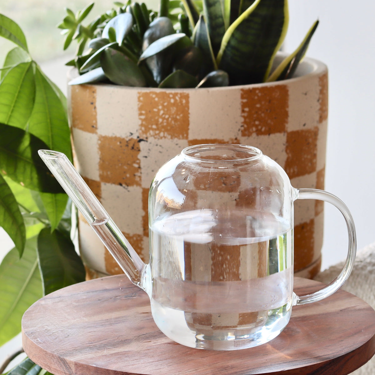 Sadie Clear Glass Watering Can - Holistic Habitat 