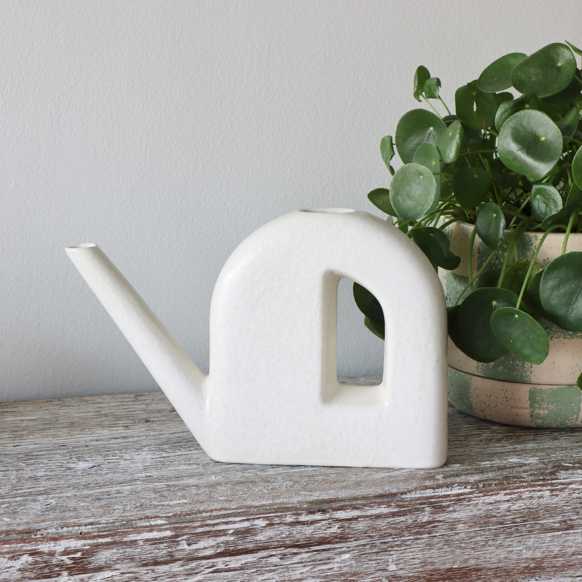Palm Springs Watering Can - Ivory - Holistic Habitat 