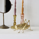 Gilded Resin Cricket - Holistic Habitat 