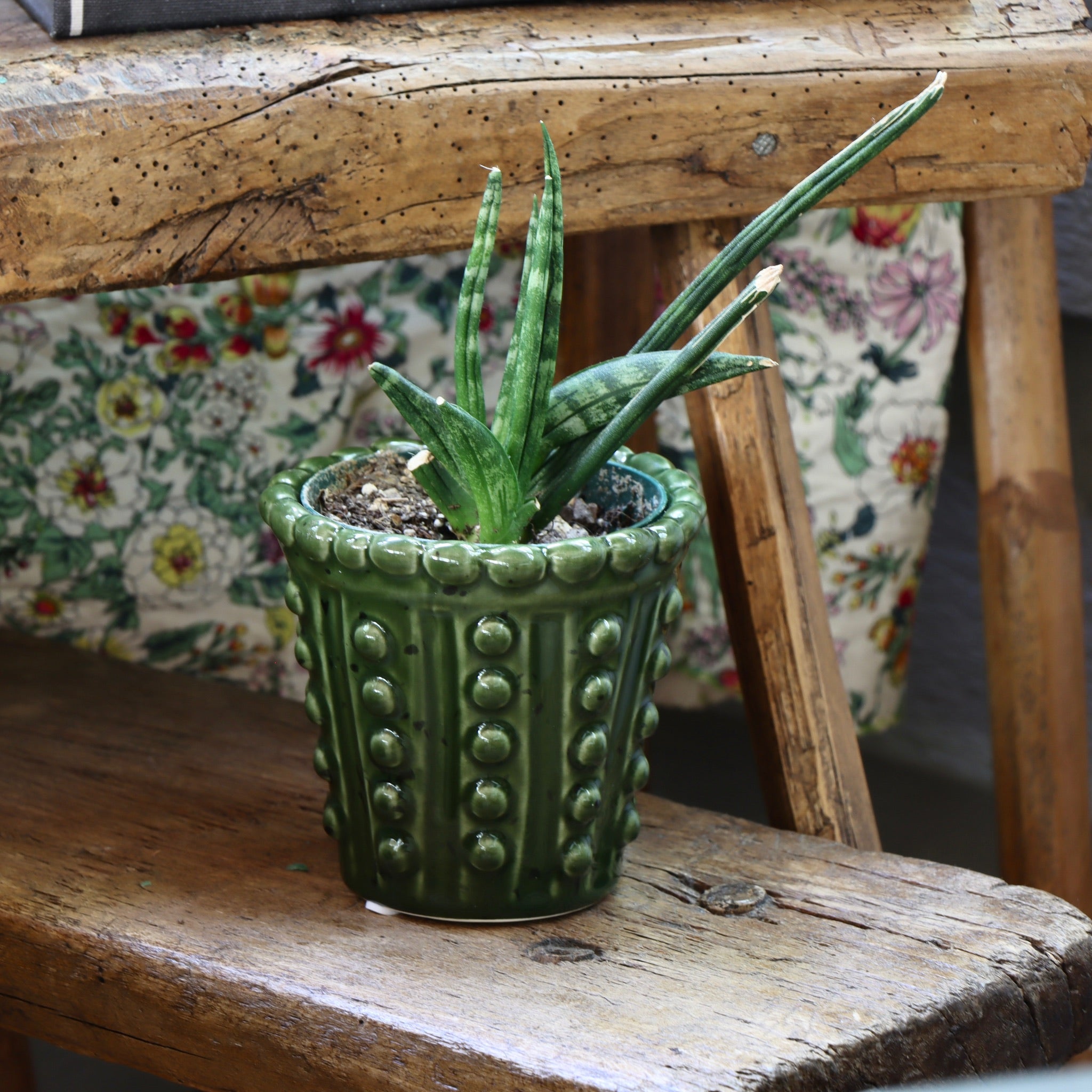 Basil Green Hobnail Stoneware Planter Holistic Habitat