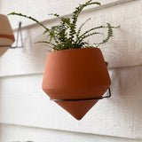 The Minimalist Holistic Habitat Raw Terracotta Wall Planter - Holistic Habitat 