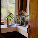 Copper & Galvanized Greenhouse Terrarium Set