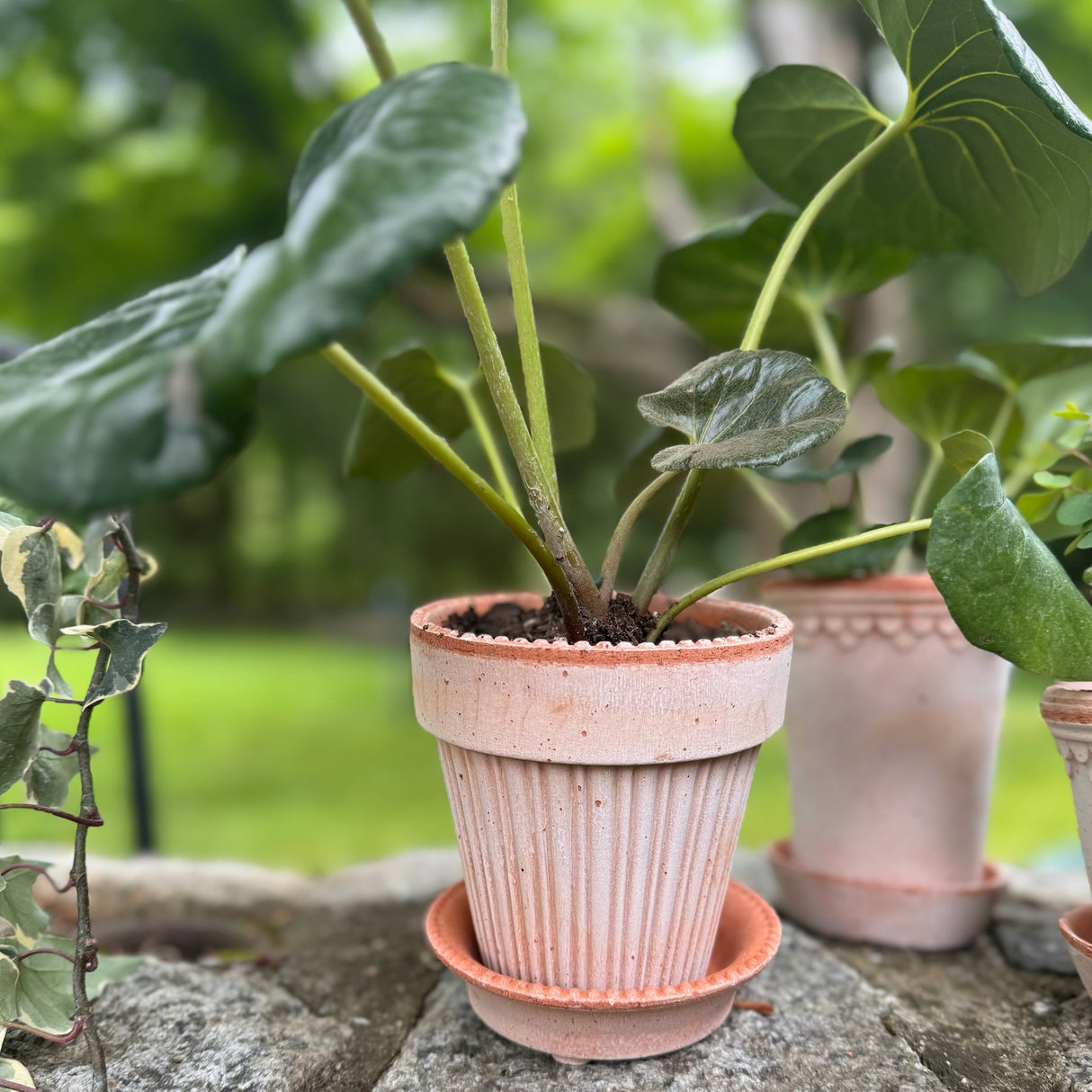 Simona Raw Terracotta Planter