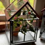 Copper & Galvanized Greenhouse Terrarium Set