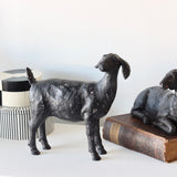 Maude Distressed Resin Goat - Holistic Habitat 