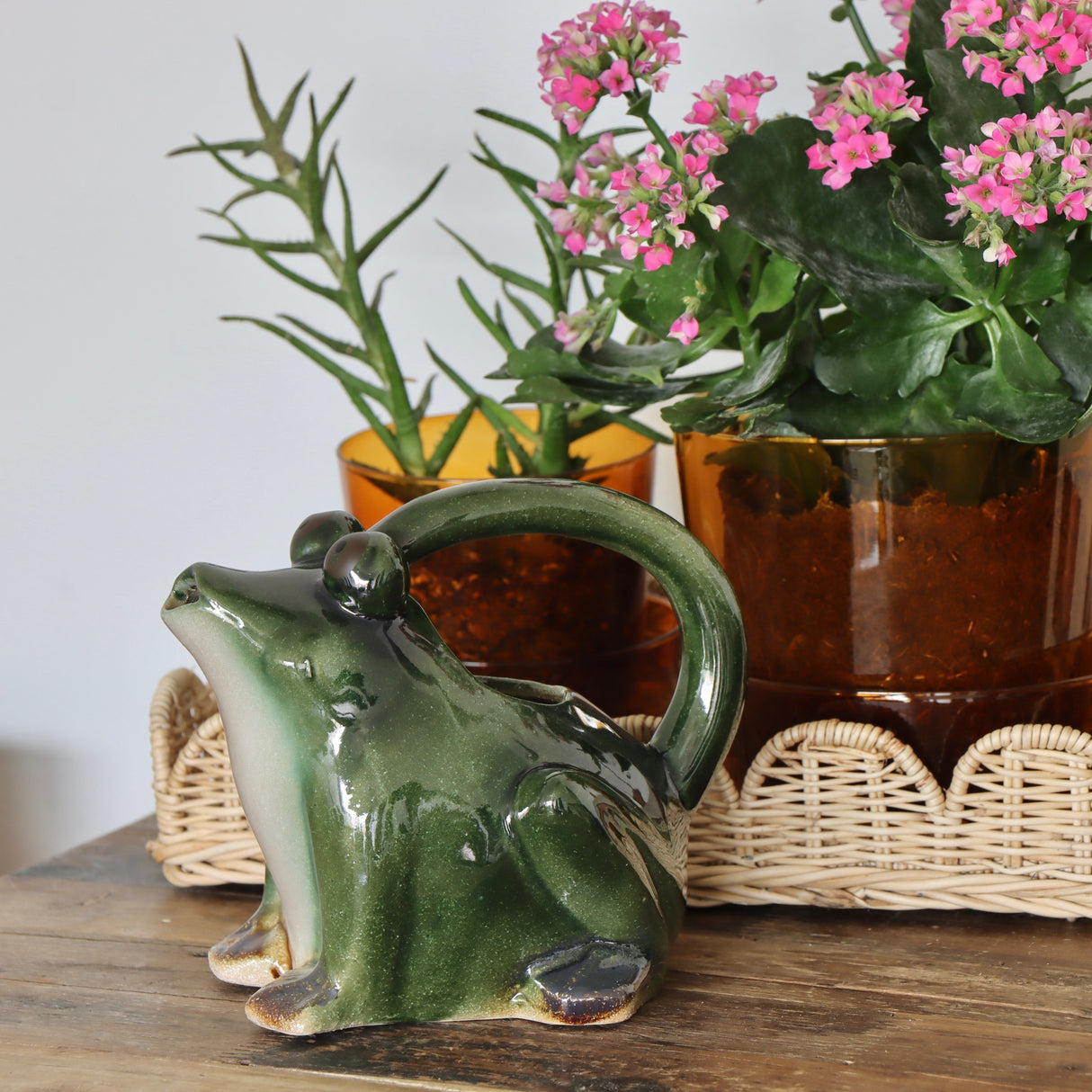 Kissed Frog Stoneware Pitcher - Holistic Habitat 