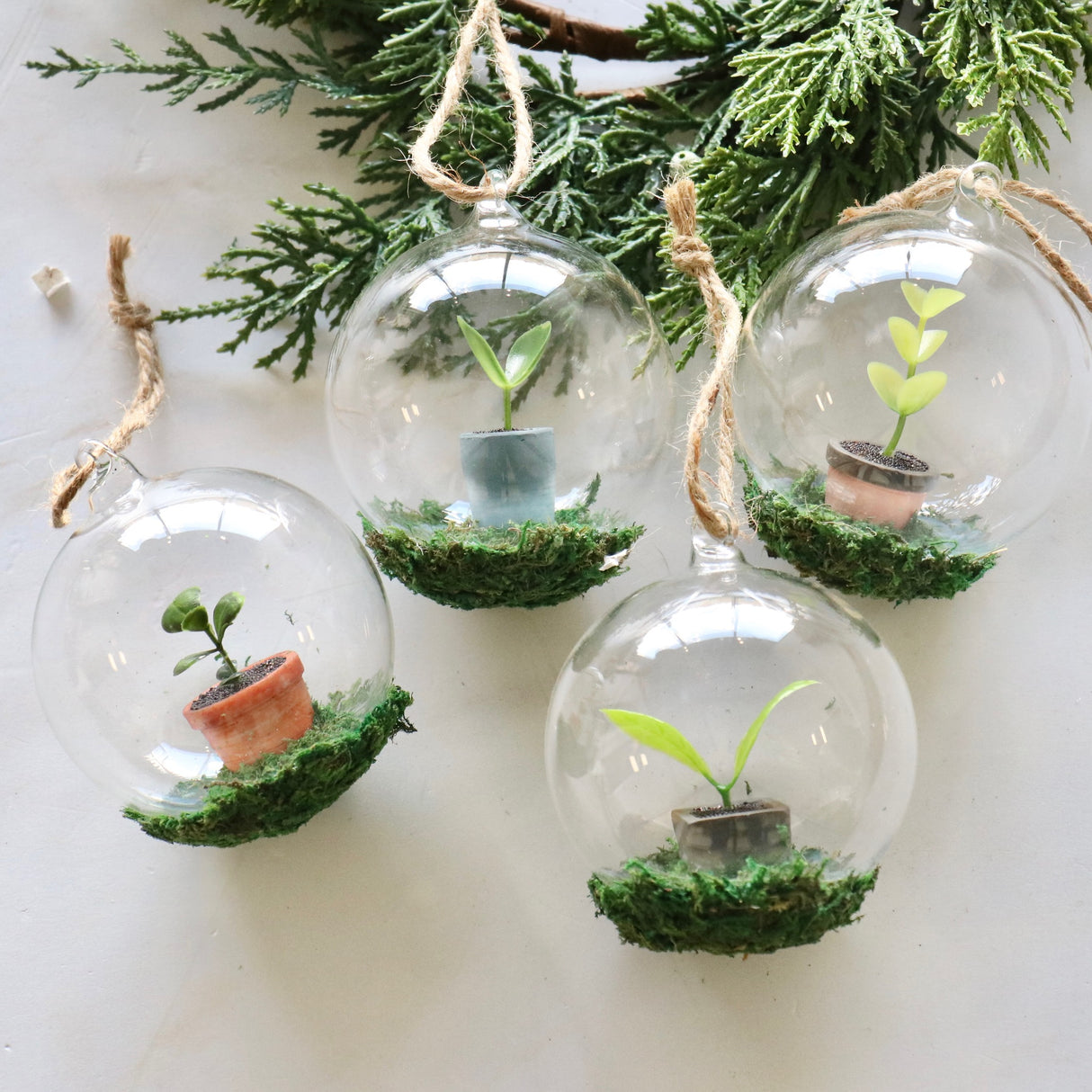 Holiday Greenhouse Glass Ball Ornaments - Set of 4