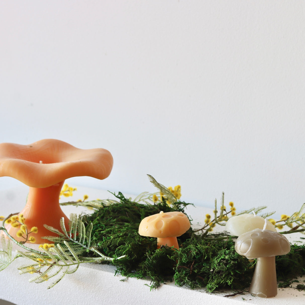 Spice Mushroom Candles - Set of 4 - Holistic Habitat 