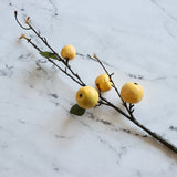 Handmade Faux Yellow Apple Pear Stem - Holistic Habitat 