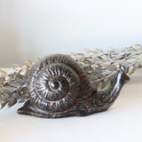 Suzy Cast Iron Snail - Holistic Habitat 