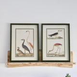 Seabirds Hobnail Olive Framed Prints Under Glass - Set of 2