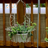 Juliette Chippy Iron Plant Basket Set - Holistic Habitat 
