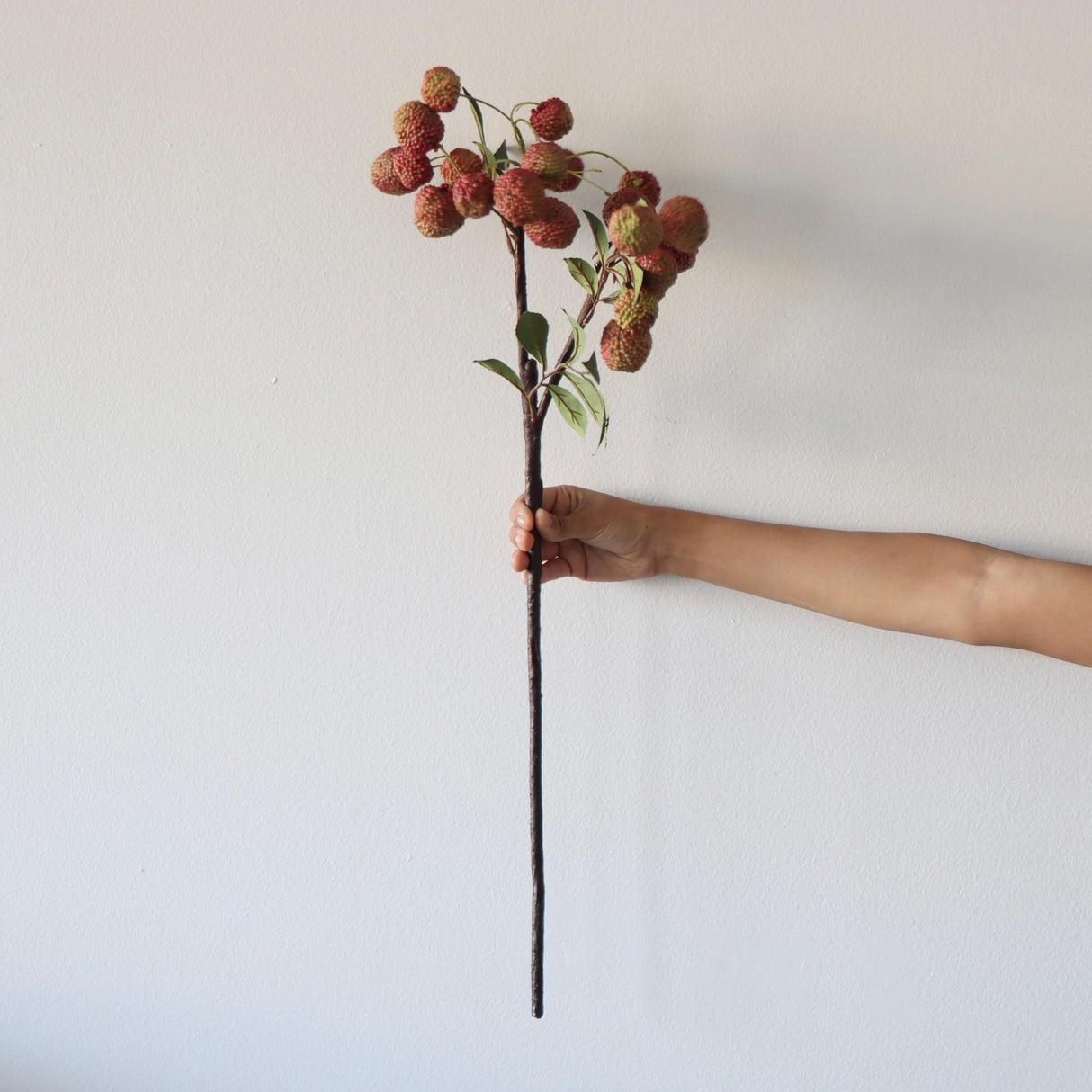 Handmade Faux Fruit Lychee Stem - Holistic Habitat 