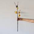 Handmade Faux Yellow Apple Pear Stem - Holistic Habitat 