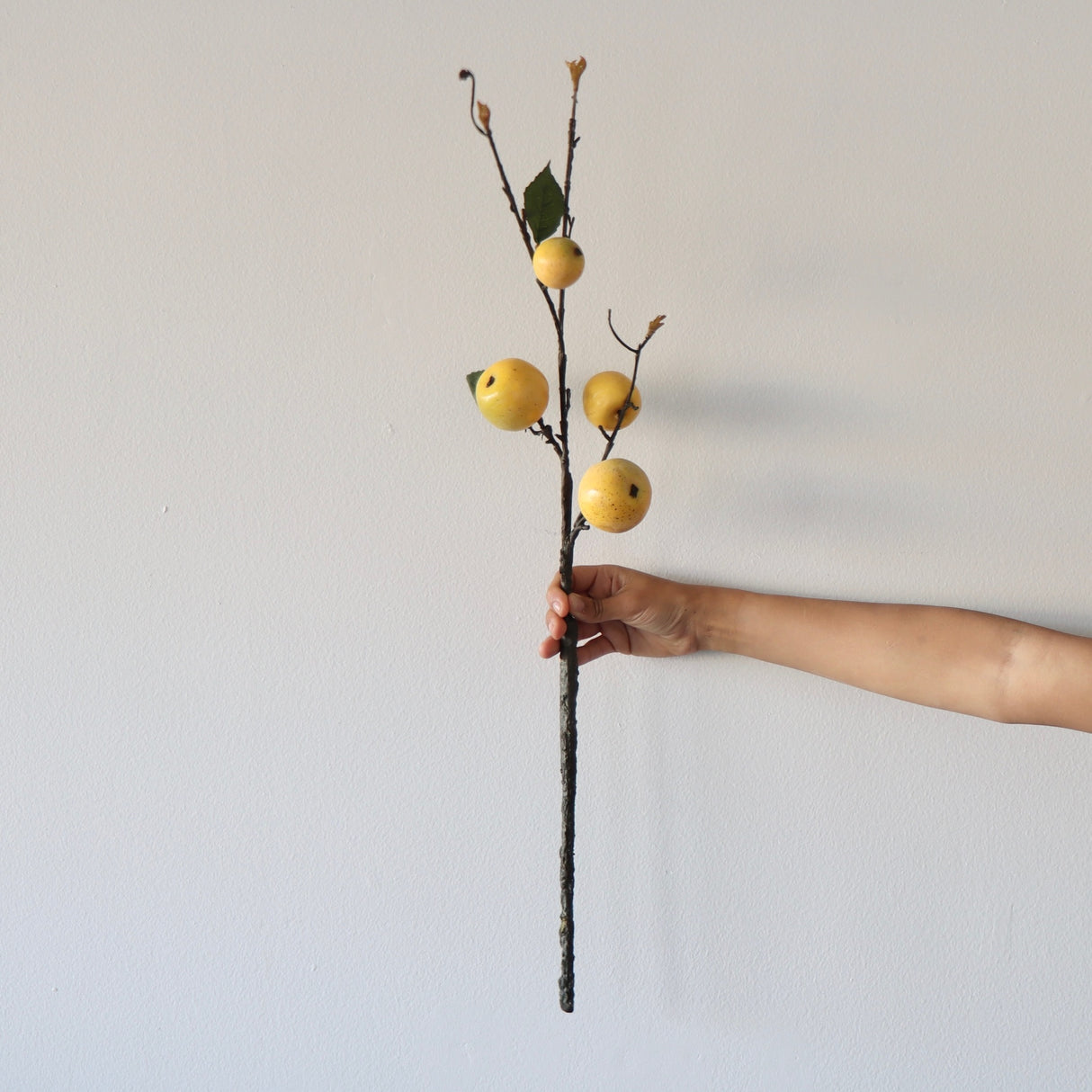 Handmade Faux Yellow Apple Pear Stem - Holistic Habitat 