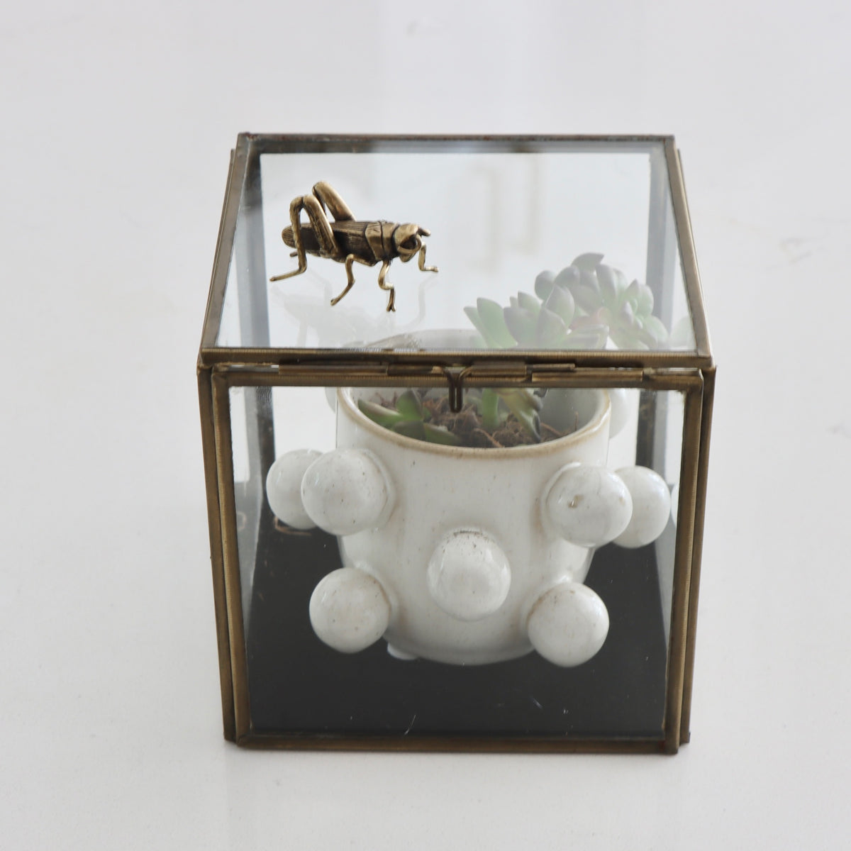 Square Brass &amp; Glass Keepsake Box - Large - Holistic Habitat 