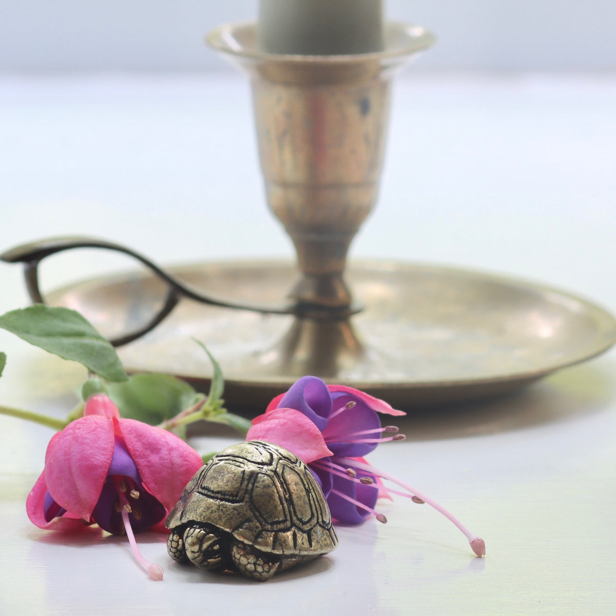 Mini Brass Turtle - Holistic Habitat 