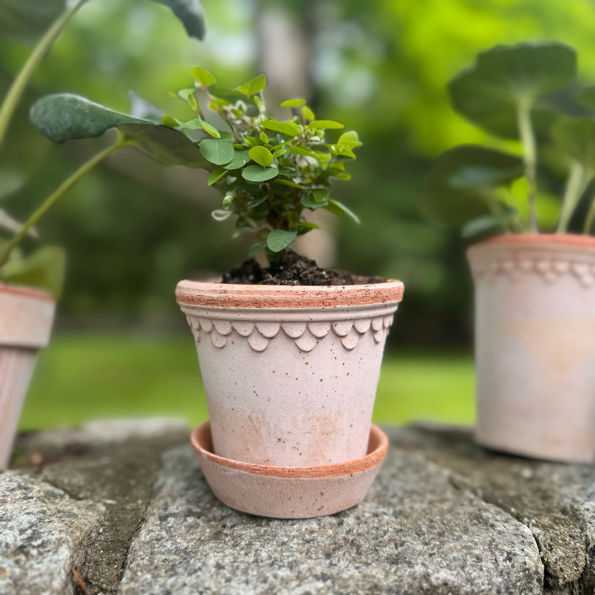 Københavner Raw Terracotta 3.5" Planter