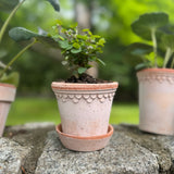 Københavner Raw Terracotta 3.5" Planter