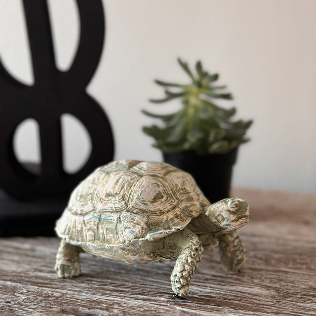 Buster Turtle Distressed Resin Figurine - Holistic Habitat 