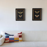 Luna Framed Moth Prints - Holistic Habitat 