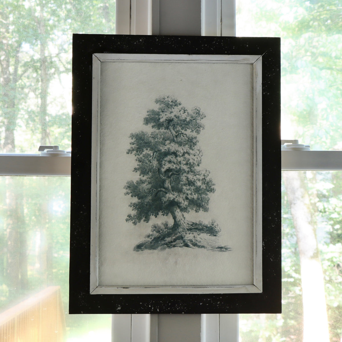 Wild Oak Framed Print - Holistic Habitat 