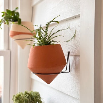 The Minimalist Holistic Habitat Raw Terracotta Wall Planter - Holistic Habitat 