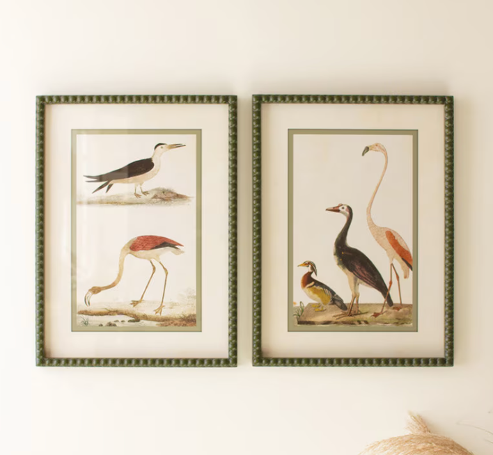 Seabirds Hobnail Olive Framed Prints Under Glass - Set of 2