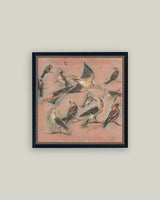 Pink Birds Framed Antique Art: 9x9