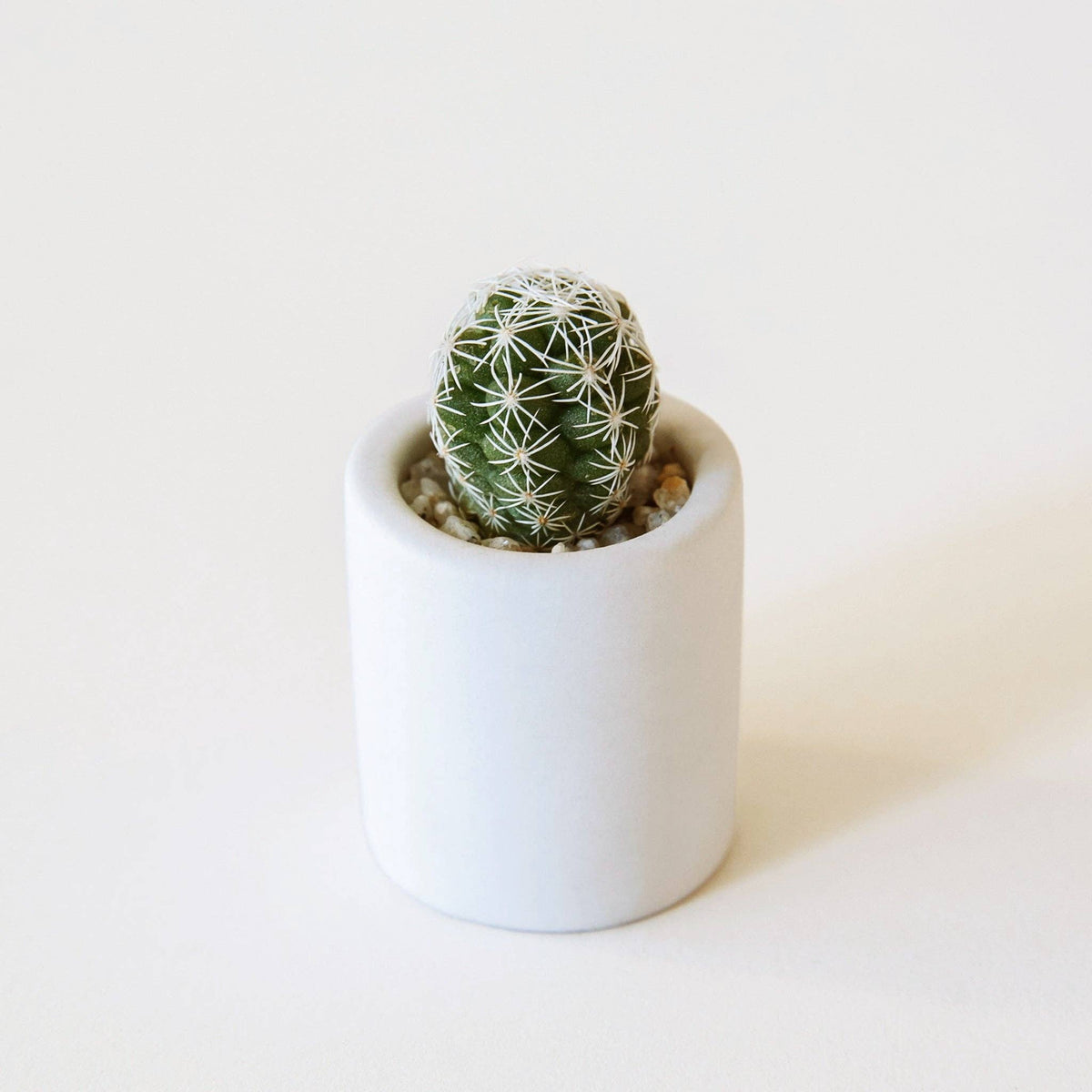 Tiny Pot - White - Holistic Habitat 