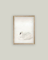 Swan Framed Antique Art: Mini