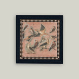 Pink Birds Framed Antique Art: 9x9