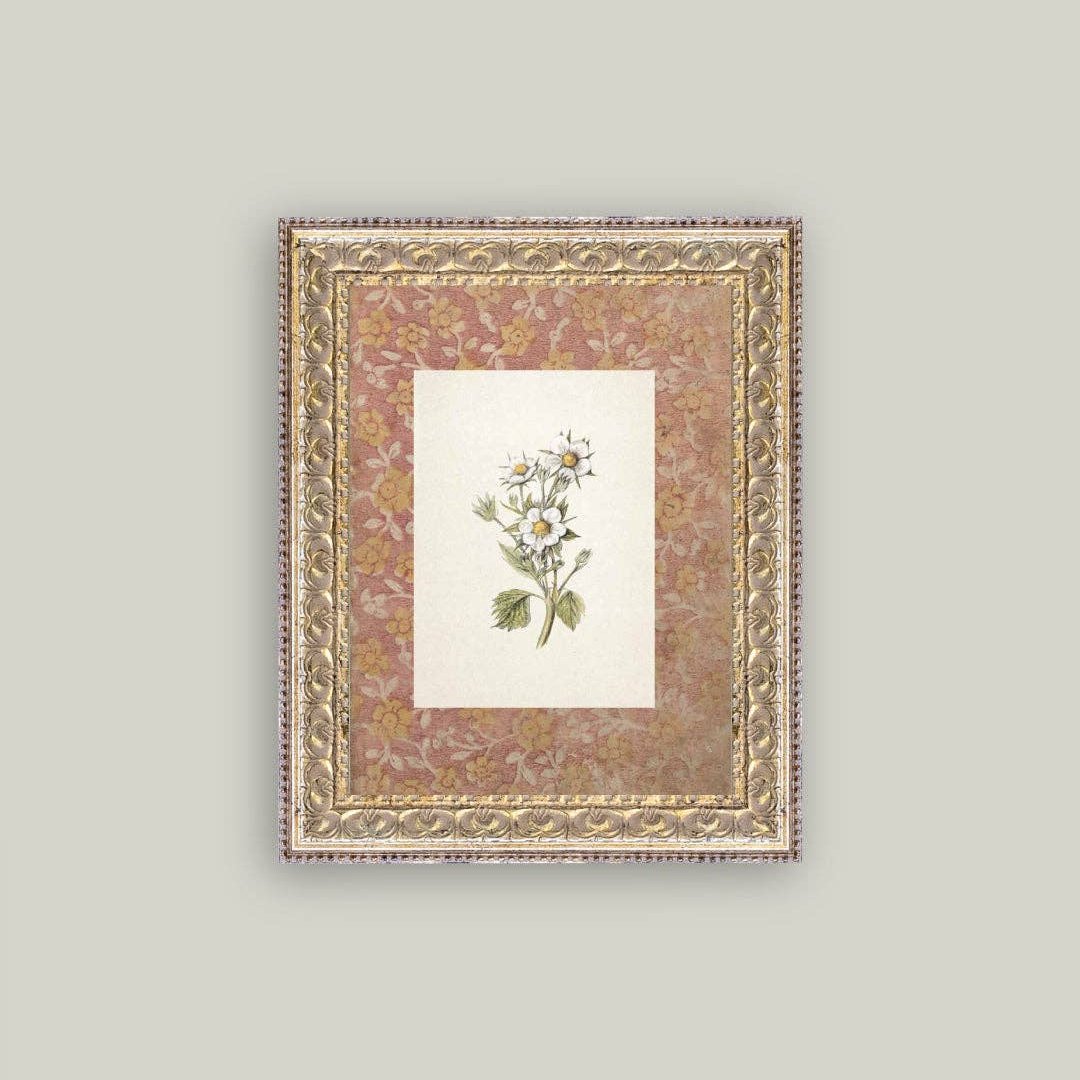 Daisies on Pattern Framed Antique Art: 8x10