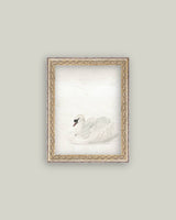 Swan Framed Antique Art: Mini