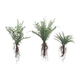 Faux Ferns - Set of 3 - Holistic Habitat 