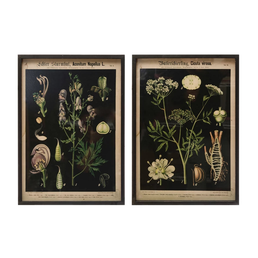 In the Garden-Framed Botanical Prints - Set of 2