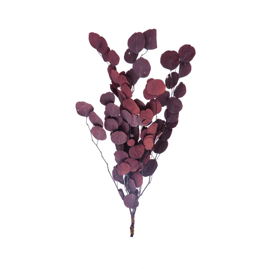 Aubergine Dried Natural Eucalyptus Bunch - Holistic Habitat 