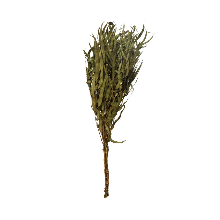 Dried Natural Eucalyptus Bunch - 30 Inch - Holistic Habitat 