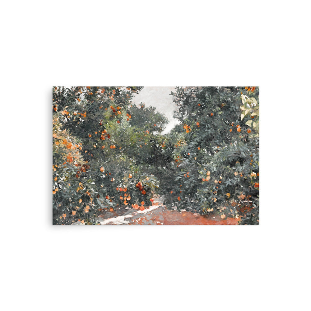 Orange Grove - Holistic Habitat 