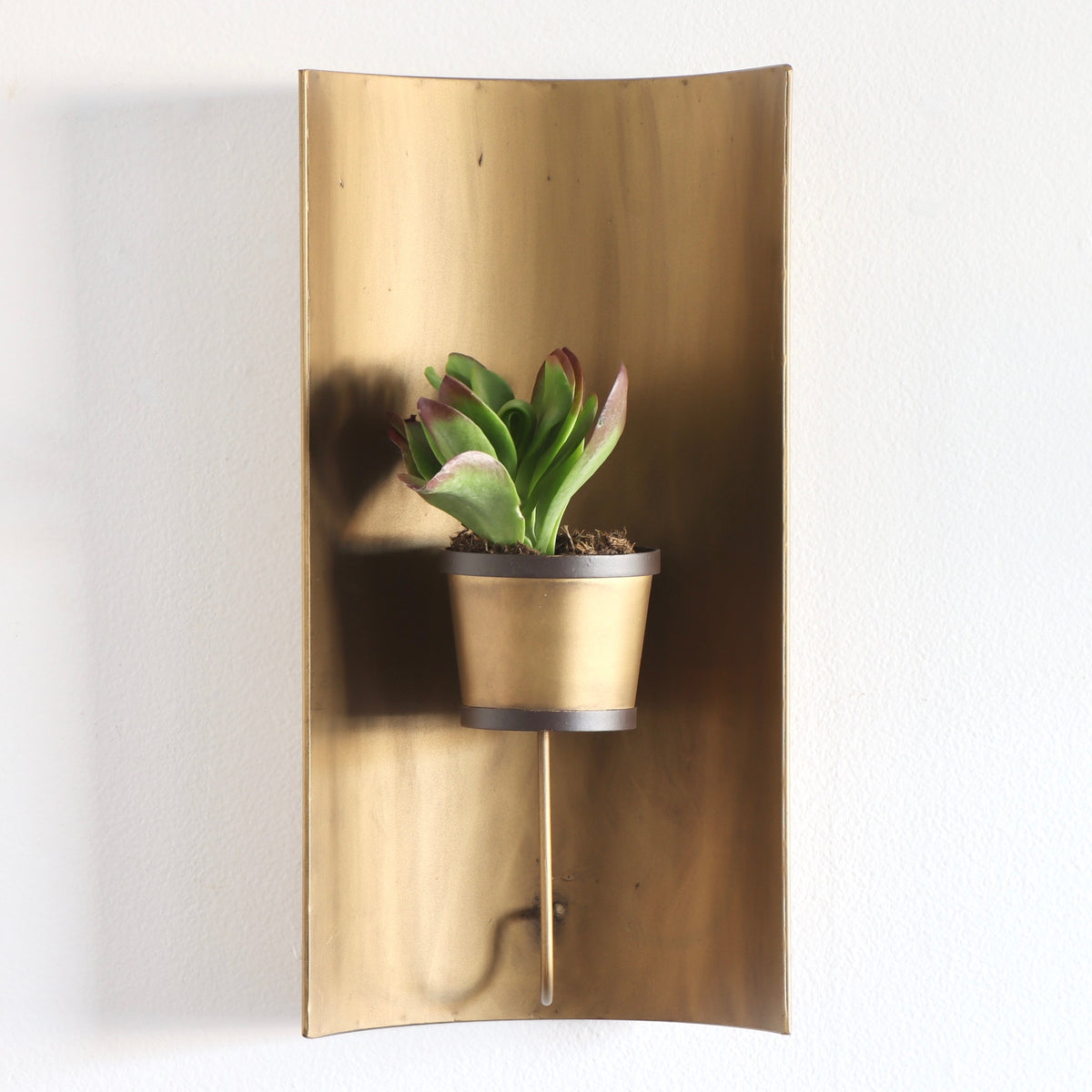 Curved Antique Brass Finished Wall Planter - Holistic Habitat 