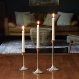 Julia Brass Candlesticks - Set of 3 - Holistic Habitat 