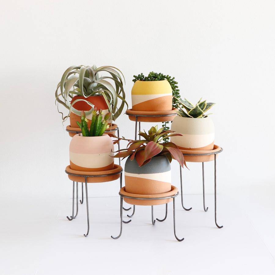 Set of 5 Terracotta Colorblock Pots on Metal Stands - Holistic Habitat 
